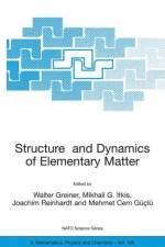 Structure and Dynamics of Elementary Matter