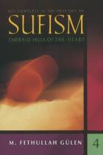 Key Concepts in the Practice of Sufism
