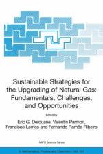 Sustainable Strategies for the Upgrading of Natural Gas: Fundamentals, Challenges, and Opportunities