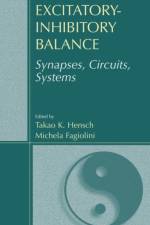 Excitatory-Inhibitory Balance