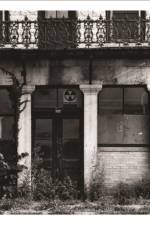 A Handful of Dust af David Plowden