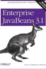 Enterprise JavaBeans 3.1