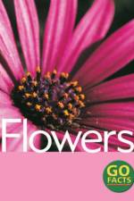 Flowers af Paul McEvoy