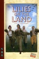 Lilies on the Land af the Lions part