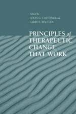Principles of Therapeutic Change That Work