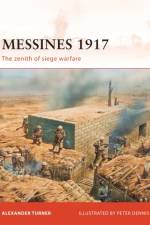 Messines 1917 af Alexander Turner