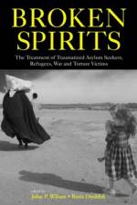 Broken Spirits af John P. Wilson