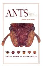 Ants of North America af Brian L. Fisher