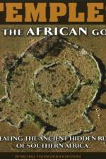 Temples of the African Gods af Michael Tellinger