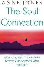 The Soul Connection