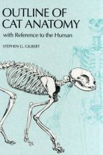 Outline of Cat Anatomy with Reference to the Human af Stephen G. Gilbert