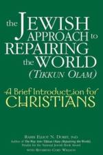The Jewish Approach to Repairing the World (Tikkun Olam) af Rabbi Elliot N Dorff