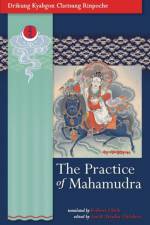 Practice Of Mahamudra af Drikung Kyabgon Chetsang Rinpoche