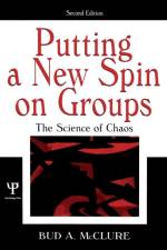 Putting A New Spin on Groups af Bud A. McClure