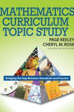 Mathematics Curriculum Topic Study