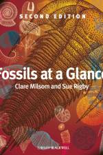 Fossils at a Glance af Clare (Liverpool John Moores University) Milsom