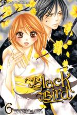 Black Bird, Vol. 6 af Kanoko Sakurakouji