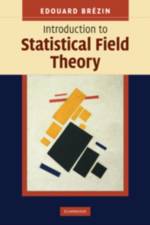 Introduction to Statistical Field Theory af Edouard (Ecole Normale Superieure Brezin