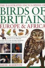 Illustrated Encyclopedia of Birds of Britain, Europe & Africa af David Alderton