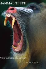 Mammal Teeth af Peter S. (Professor of Anthropology Ungar