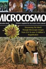 Microcosmos af Brandon Broll
