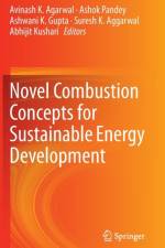 Novel Combustion Concepts for Sustainable Energy Development