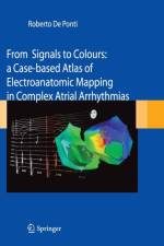 From Signals to Colours af Roberto De Ponti