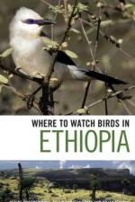 Where to Watch Birds in Ethiopia af Claire Spottiswoode
