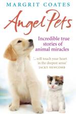 Angel Pets