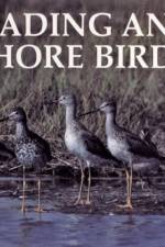 Wading and Shore Birds af Roger S. Everett