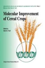 Molecular improvement of cereal crops