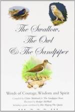 The Swallow, the Owl and the Sandpiper