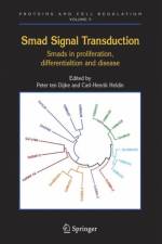 Smad Signal Transduction