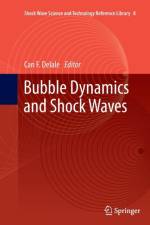 Bubble Dynamics and Shock Waves