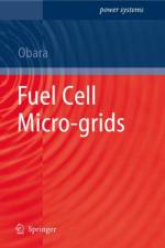 Fuel Cell Micro-grids af Shin'ya Obara