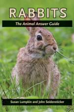 Rabbits af Susan Lumpkin