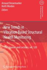 New Trends in Vibration Based Structural Health Monitoring