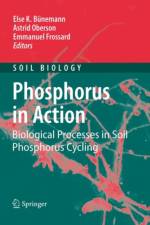 Phosphorus in Action