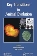 Key Transitions in Animal Evolution