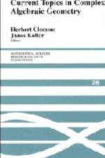 Current Topics in Complex Algebraic Geometry