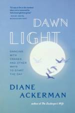 Dawn Light