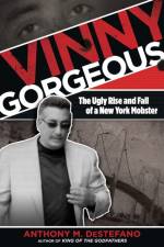 Vinny Gorgeous af Anthony M. DeStefano