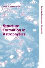 Structure Formation in Astrophysics