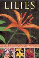 Lilies af Andrew Mikolajski