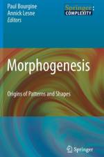 Morphogenesis