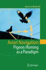 Avian Navigation: Pigeon Homing as a Paradigm af Hans G. Wallraff