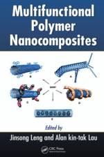 Multifunctional Polymer Nanocomposites