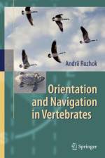 Orientation and Navigation in Vertebrates af Andrii Rozhok