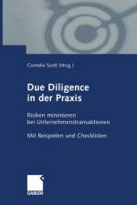 Due Diligence in Der Praxis