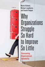 Why Organizations Struggle So Hard to Improve So Little af Martin Klubeck